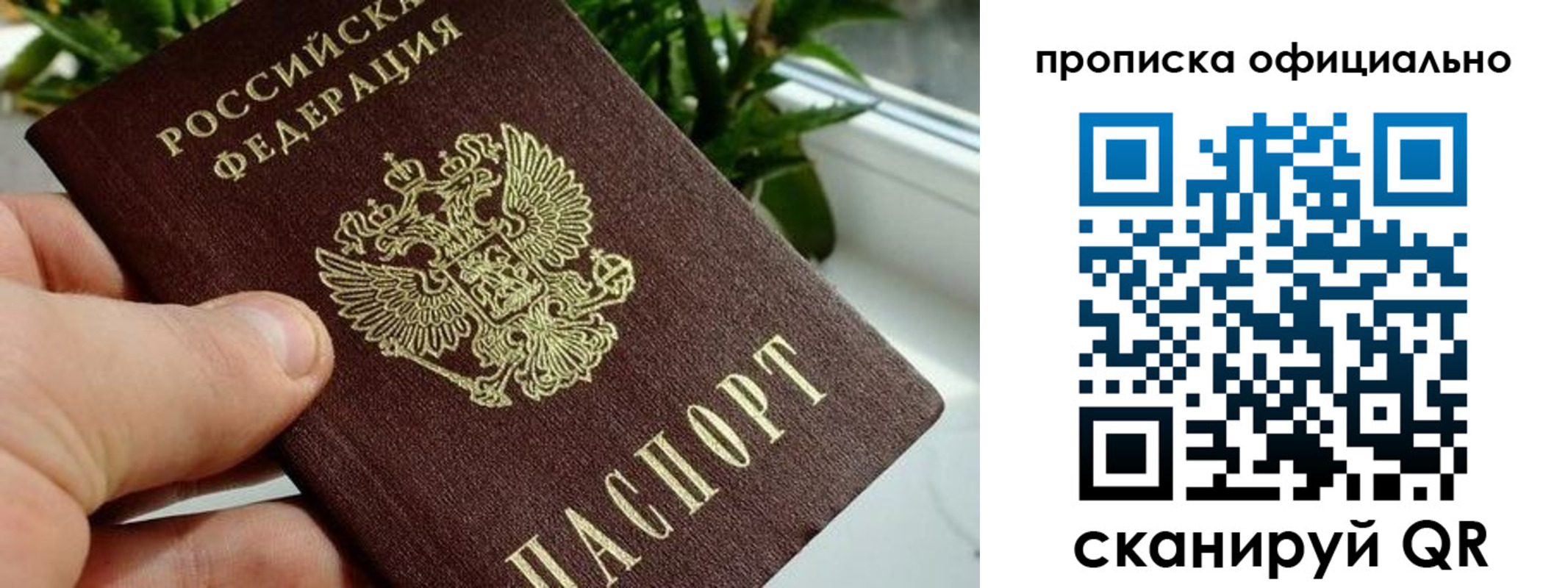 прописка поиск в Зеленогорске